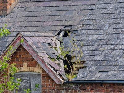 Professional water damage restoration services in Coconut Creek